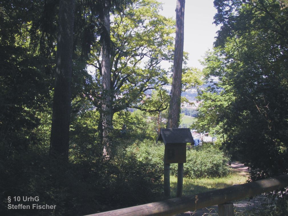 Aussichtspunkt Schillereiche